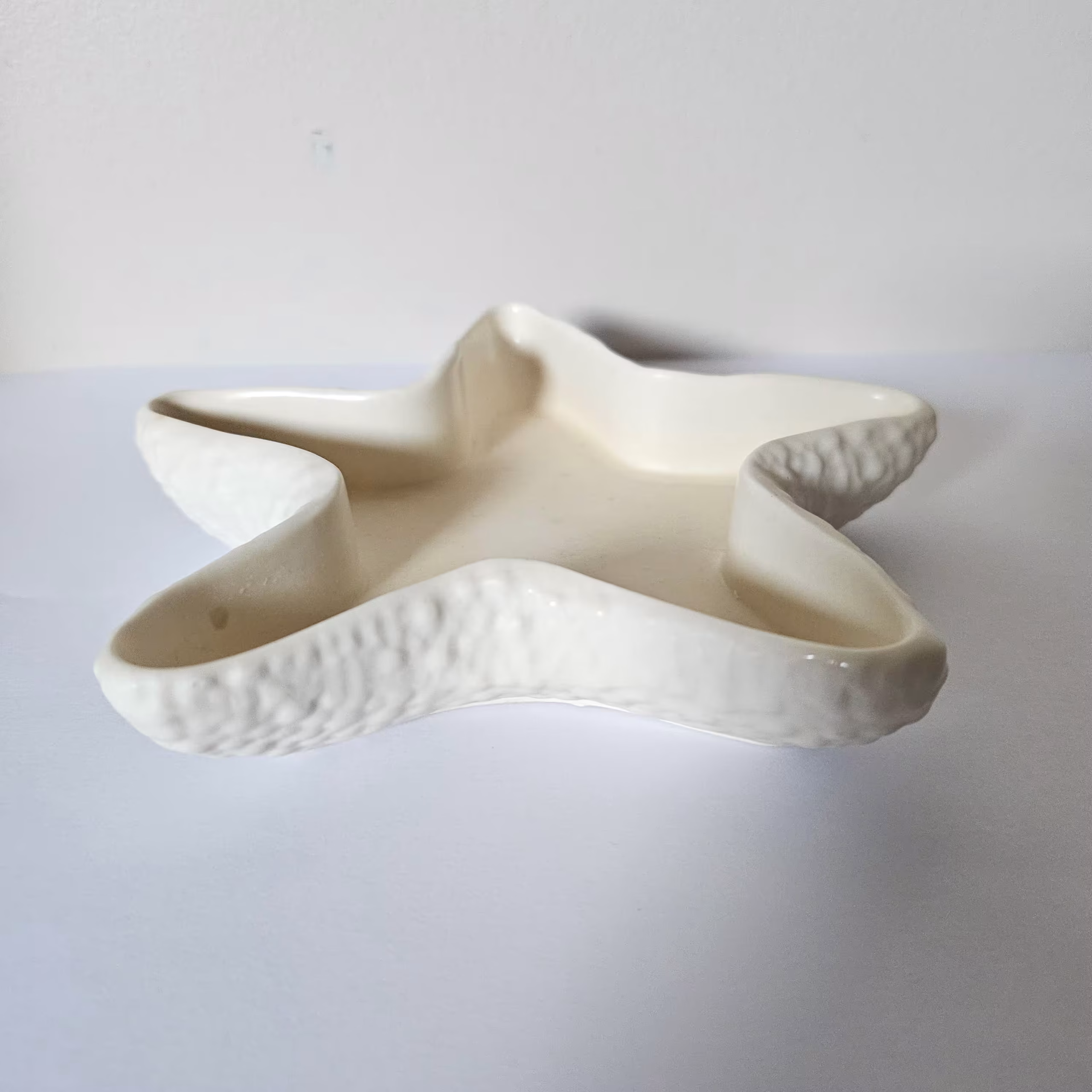 étoile de mer en jesmonite